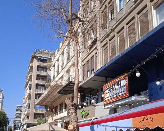 Υλοτομία εν ψυχρώ στην Πλατεία Κοραή, στην όψη του καταστήματος επί της Καραΐσκου 117